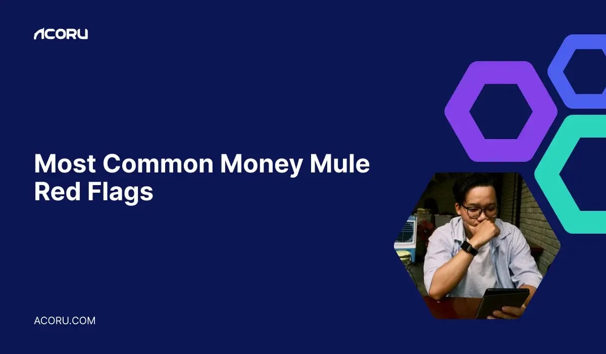 money-mule-red-flags-cover
