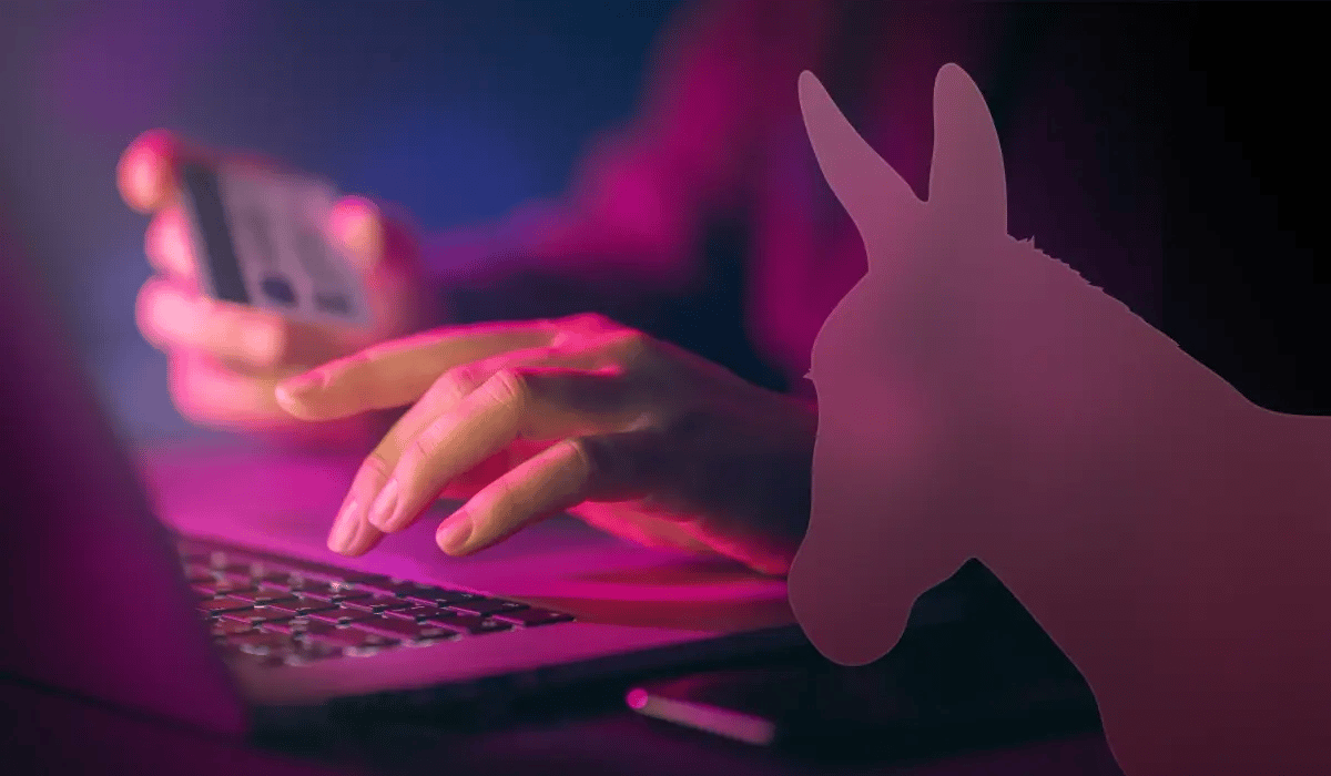 Account holder of a money mule account